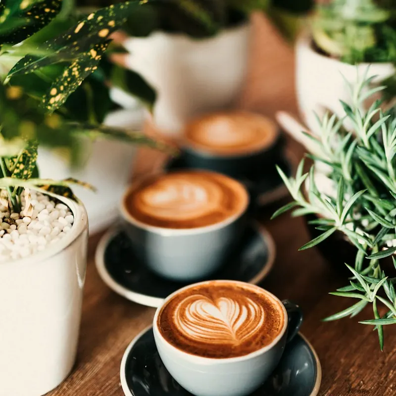 Double Espresso